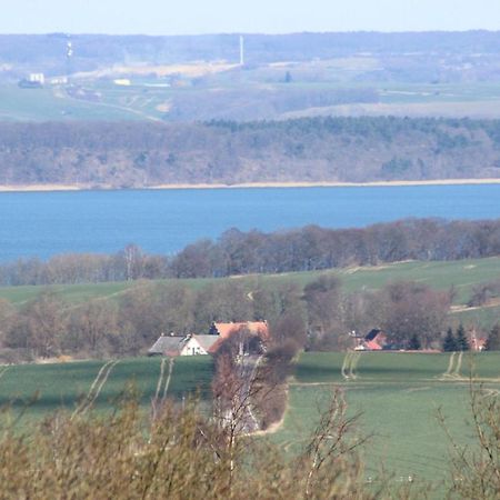 Ferienwohnung-Amsel-Kinderfreundliche-Unterkunft-In-Zentraler-Lage Bergen Auf Rugen Εξωτερικό φωτογραφία